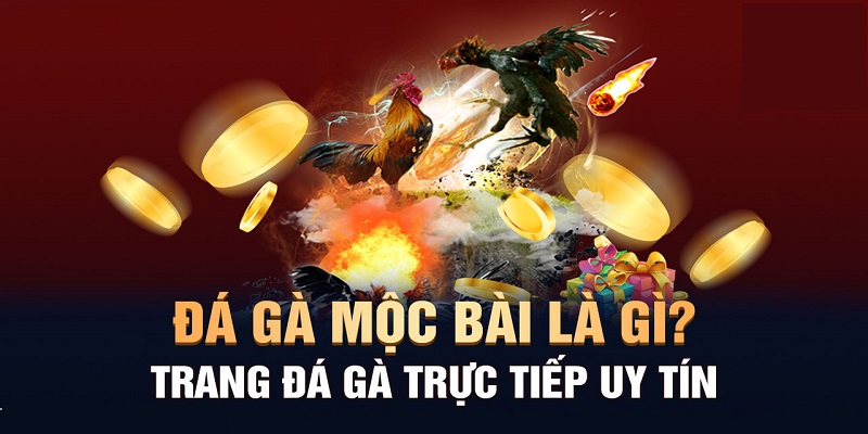 Mẹo hay bất bại khi cá cược trên nền tảng Đá gà MocBai